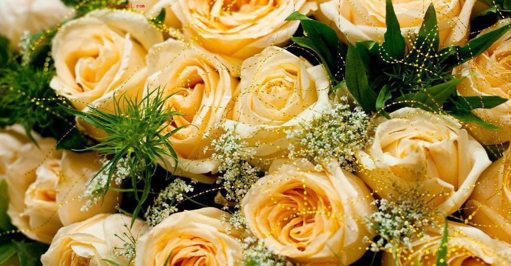 以花为主题的手机游戏名字-花语幻想:在游戏中体验花卉世界的宁静与美好(图1) 主题名字怎么取_主题昵称_以花为主题的手机游戏名字