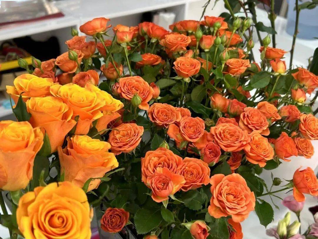 以花为主题的手机游戏名字-花语幻想:在游戏中体验花卉世界的宁静与美好(图3) 主题名字怎么取_以花为主题的手机游戏名字_主题昵称