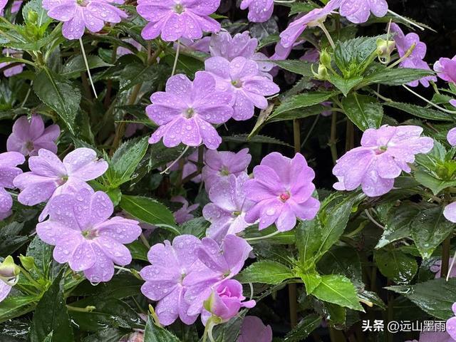 节气美食图片_二十四节气美食_节气美食小短文