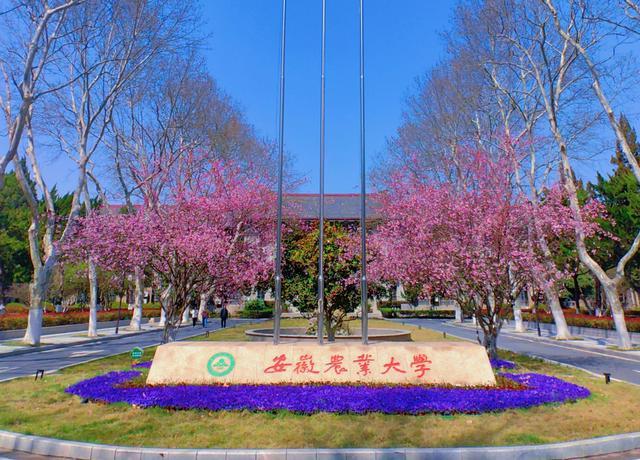 选课管理系统学生怎么选_学生选课管理系统登录界面_学生选课管理系统