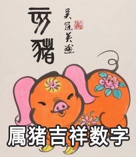 猪属于哪年出生_生肖猪出生的年份_属猪的是哪年出生的