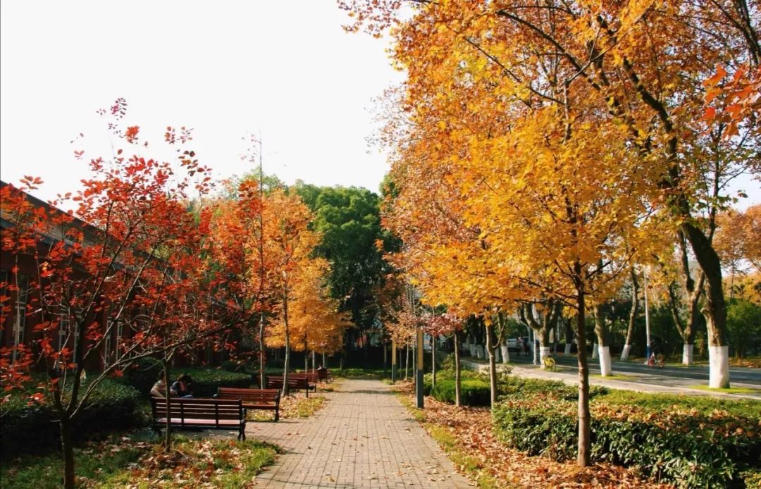 仲春时节古诗词_仲春时节_什么叫仲春时节