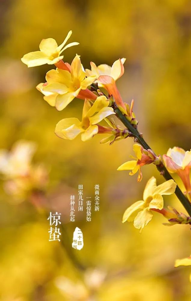 什么叫仲春时节_仲春时节古诗词_仲春时节