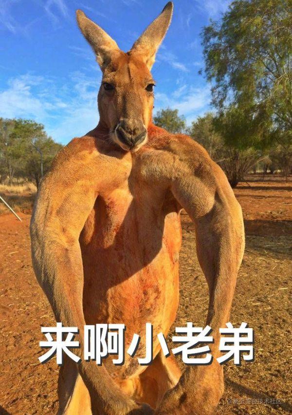 配置文件非法什么意思_webpack配置文件_配置文件是什么意思