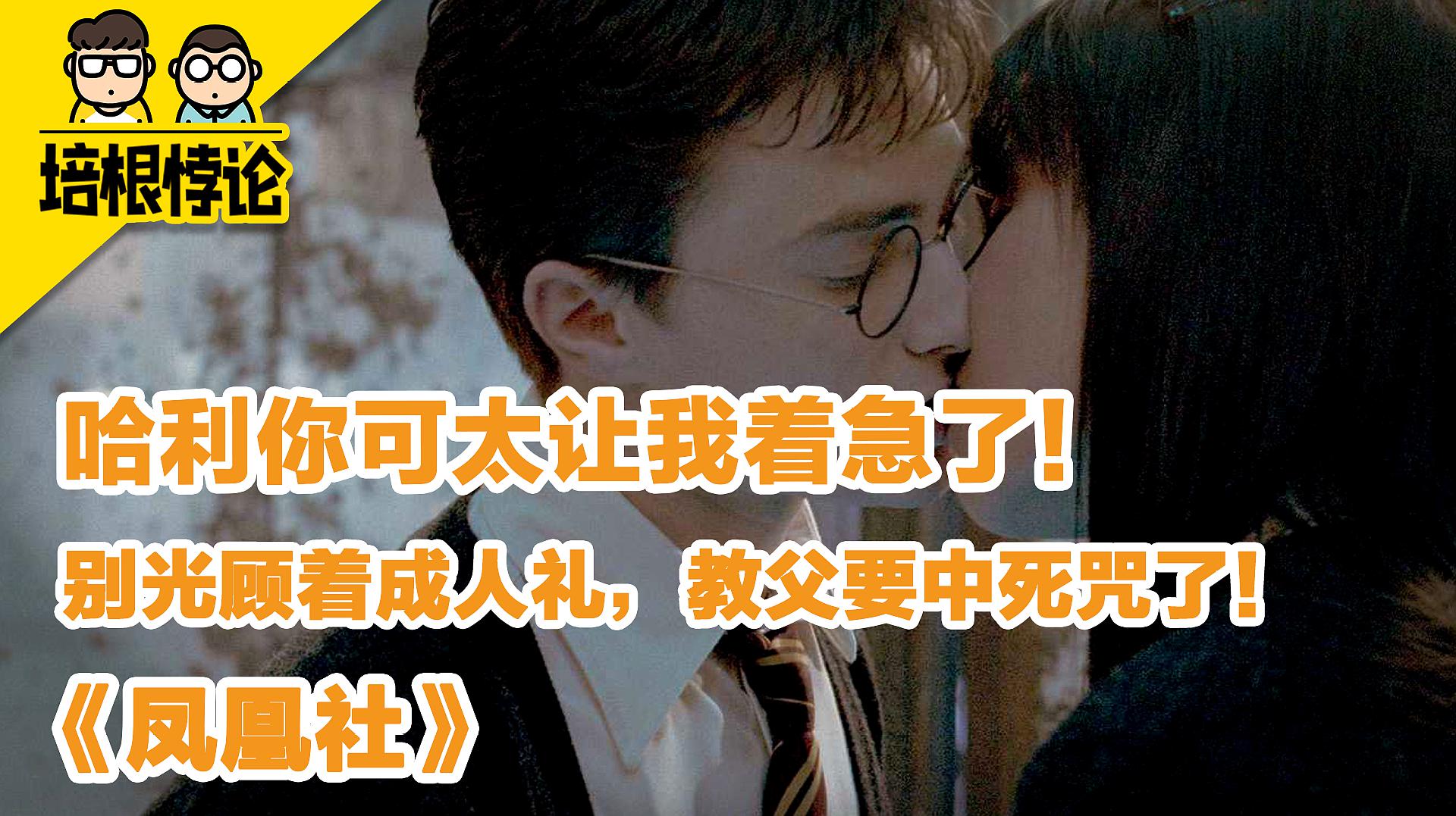 哈利波特小天狼星_哈利波特中天狼星_哈利波特中小天狼星