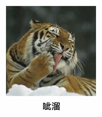 游戏插帧的手机_游戏插帧软件app_一加手机玩游戏能插帧吗