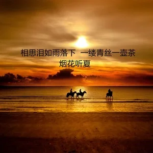 歌词泪如雨下是什么歌_泪如雨下歌词抖音_我泪如雨下是哪首歌的歌词