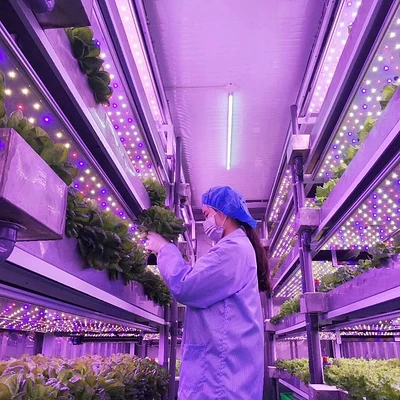 小林香菜_小林香菜图片_小林香菜奥特曼传奇剧照