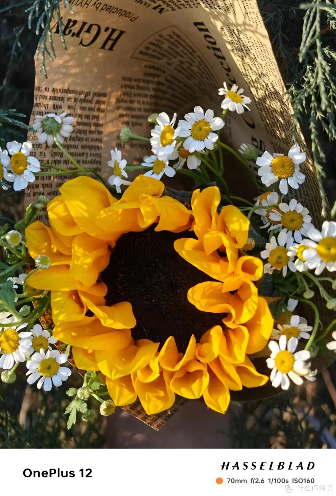 性价比高的机器游戏手机-性价比高到尖叫的机器游戏手机,让你畅玩一整天不心疼钱(图3) 性价比高的手机玩游戏_高性价比游戏手机推荐2021_性价比高的机器游戏手机