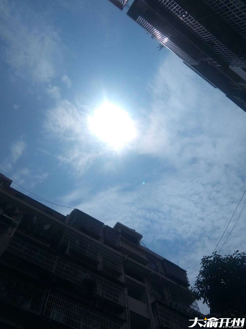 彩音:心灵的秘密花园,生活的调味剂,情感的宣泄与慰藉(图1) 彩音序音节部首_浅仓彩音接客吗_彩音