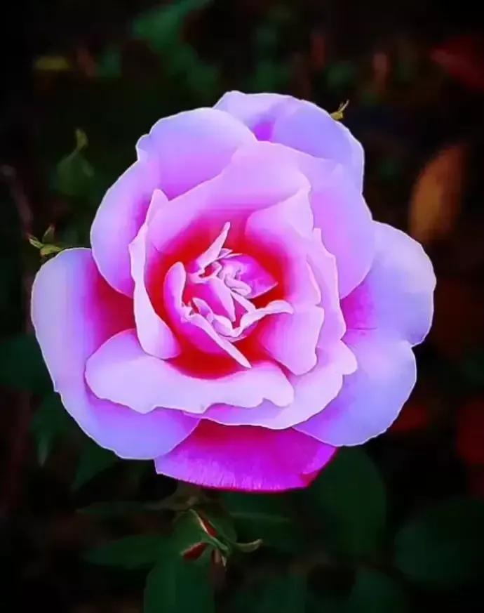 致亲爱的孤独者电影完整版在线观看-致亲爱的孤独者:一部触动心灵的电影,带你探索成长与孤独(图4) 《孤独者》_致孤独者歌词_致亲爱的孤独者电影完整版在线观看