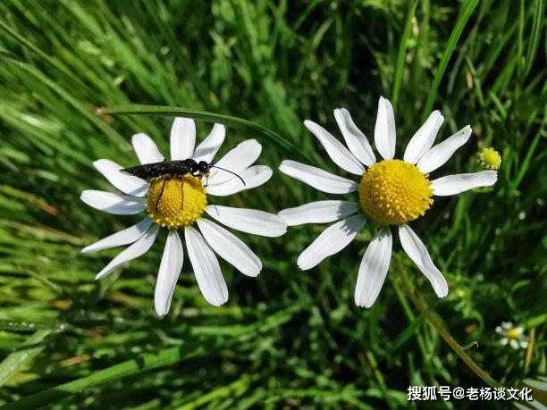 异地情侣手机游戏app_异地情侣手机游戏怎么玩_异地情侣手机游戏