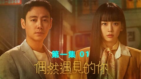 偶然遇见剧情分集介绍_偶然遇见的你剧情分集介绍_《偶然遇到爱》