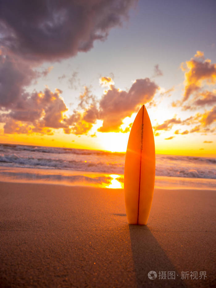 鲨巨蜥_巨鲨_鲨巨人