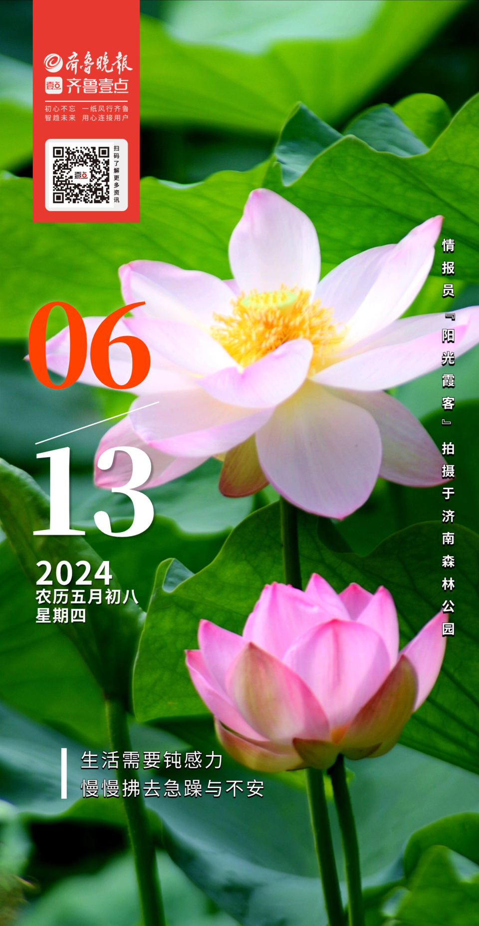 最新日历_日历最新版2022日历表_日历最新版