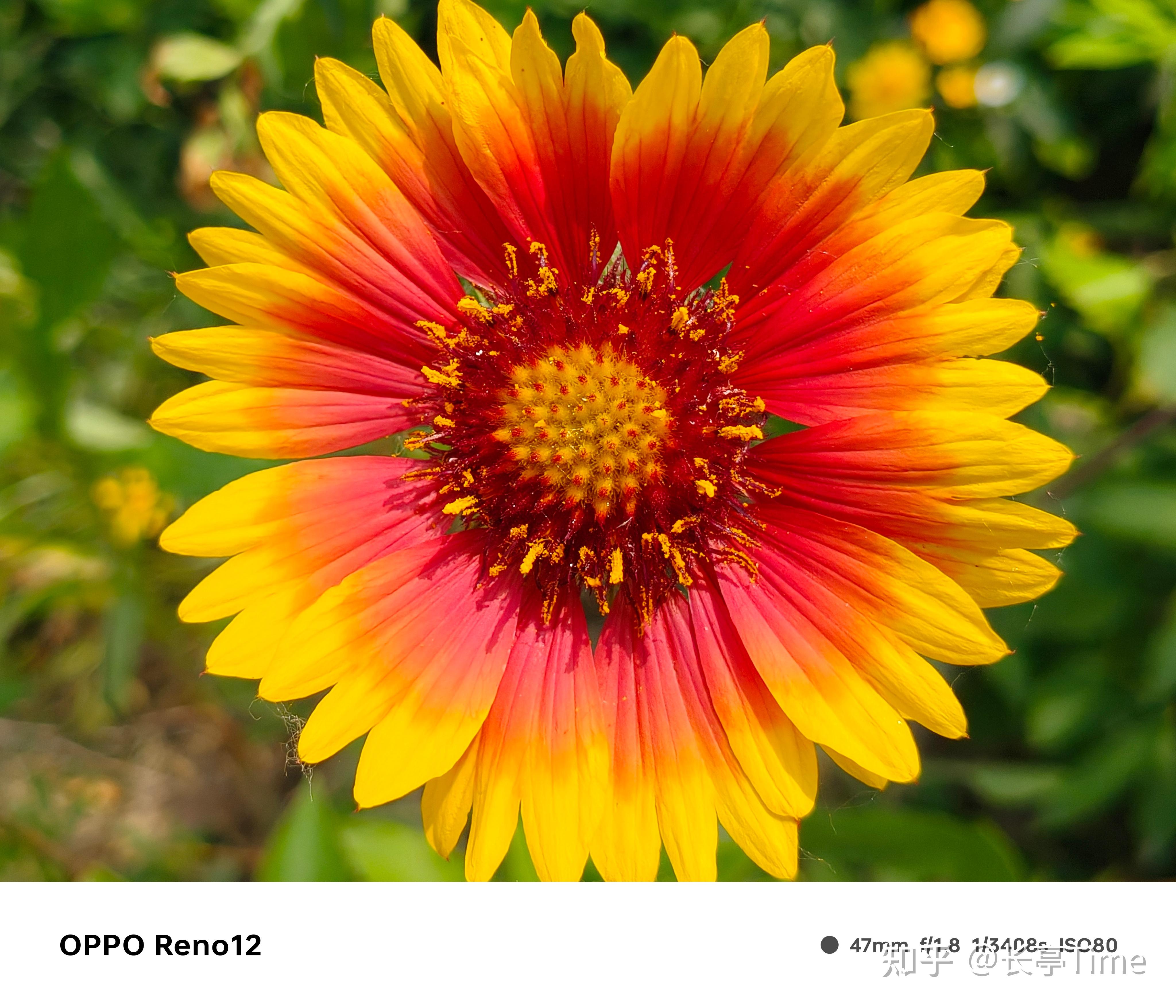 想去海边手机版下载游戏-海边主题手机游戏:随时随地让心灵去旅行的绝佳选择(图1) 海边游戏图片_想去海边手机版下载游戏_海边玩游戏有哪些