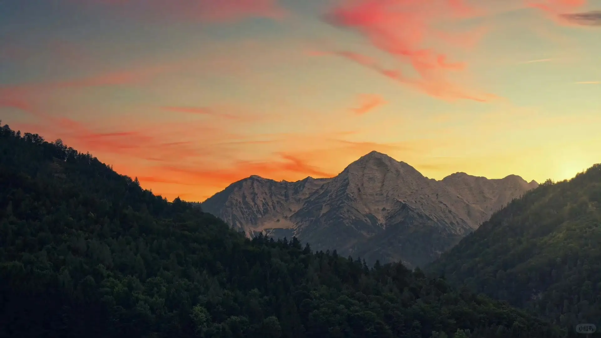 追光者小游戏_追光者安卓版下载_追光者安卓手机游戏