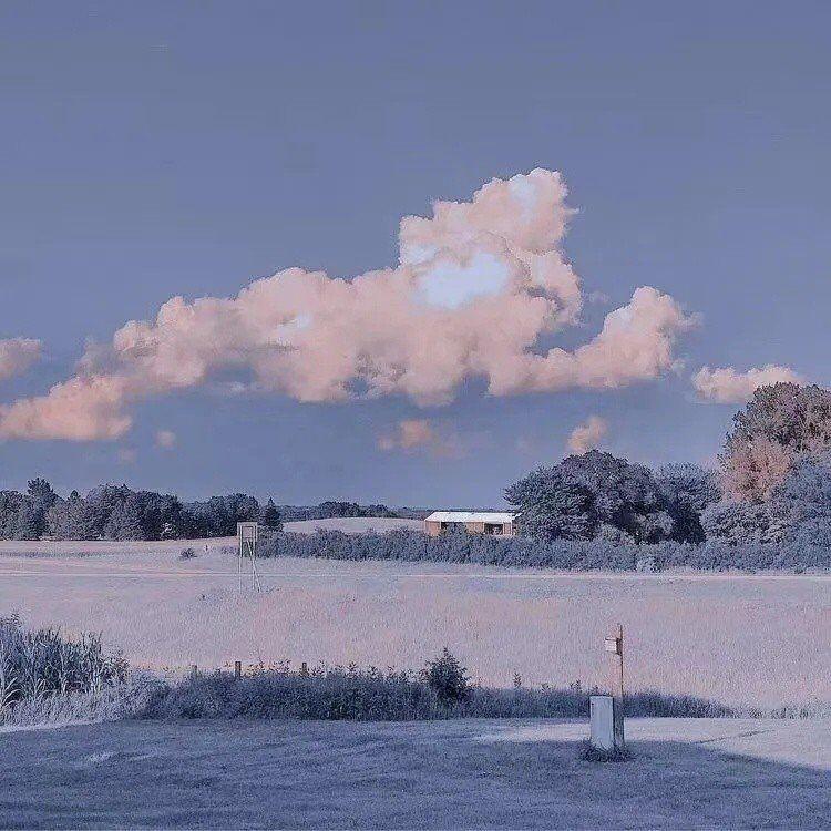 螳螂生始鸣_螳螂生;鵙始鸣;反舌无声_螳螂生;鵙始鸣;反舌无声