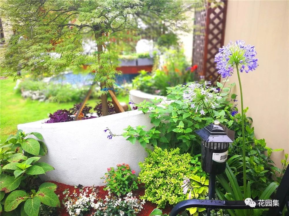 做菜游戏手机版游戏_做菜游戏微信小程序_小朋友做菜的手机游戏