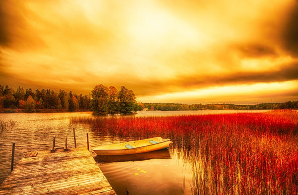 日本小镇女孩加藤奈津美:用音乐传递梦想与希望的力量(图3) 加藤奈津美_掘口津奈美番号_加藤奈央加藤奈绪