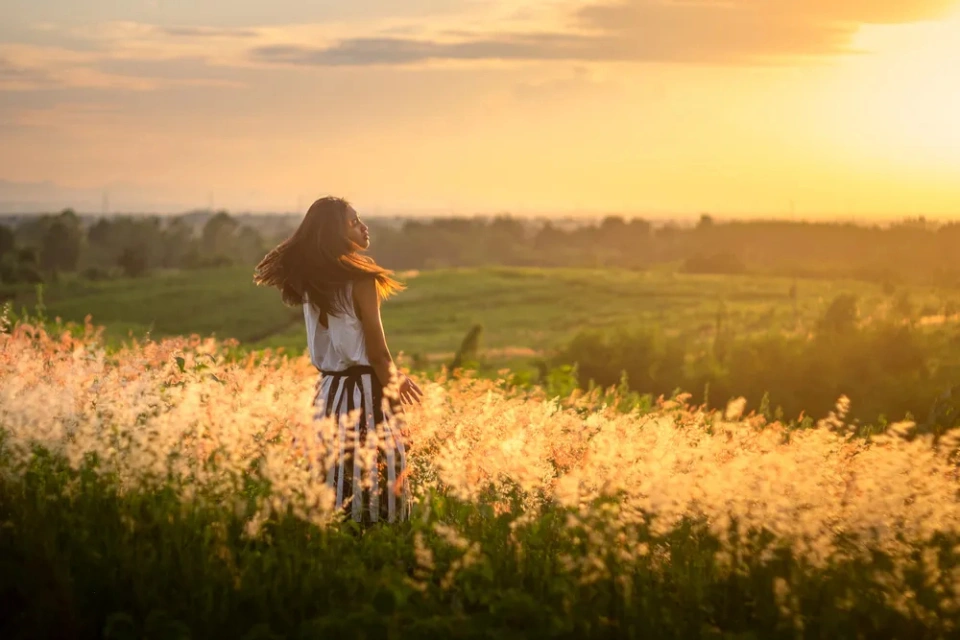 爱幽的密室原型-被遗忘的密室:藏在心底的爱与回忆(图1) 爱幽的密室大结局_爱幽的密室原型_密室幽冥戏院剧情详解视频