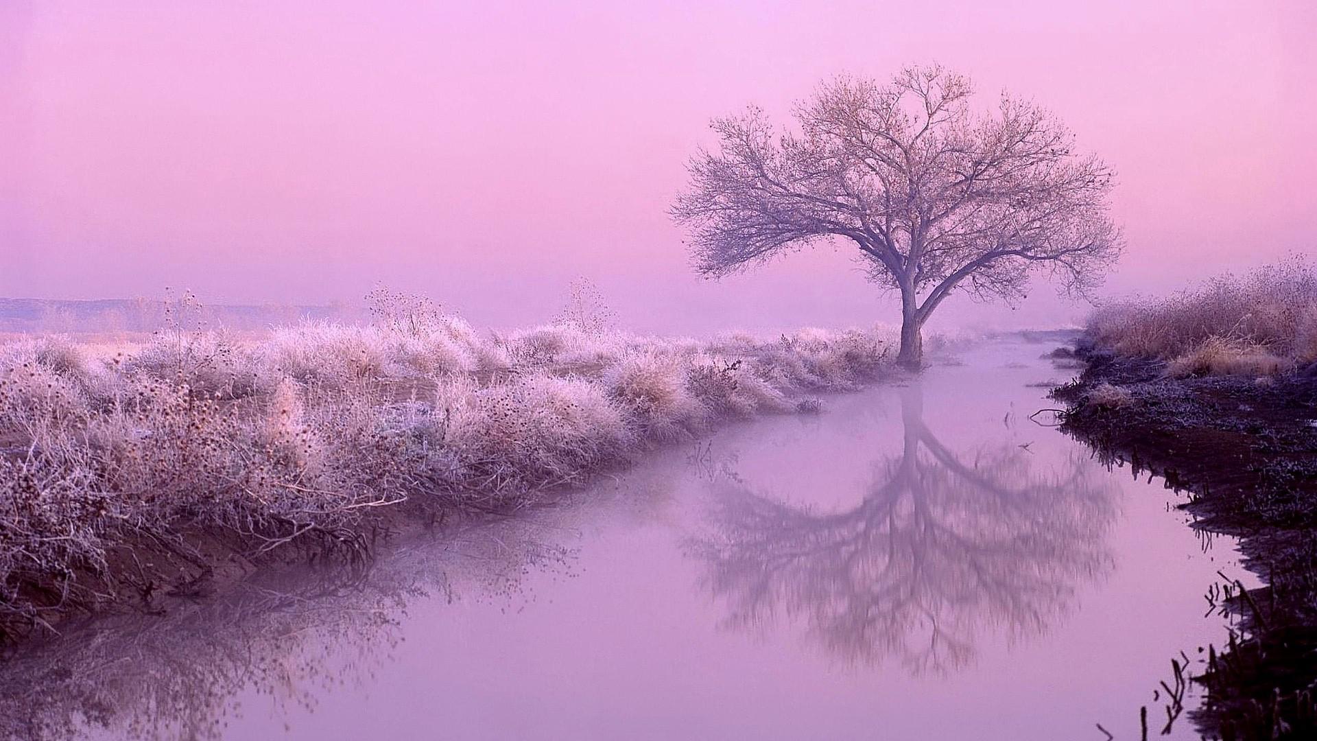 比较优雅的游戏名称_优雅手机游戏怎么玩_优雅手机游戏