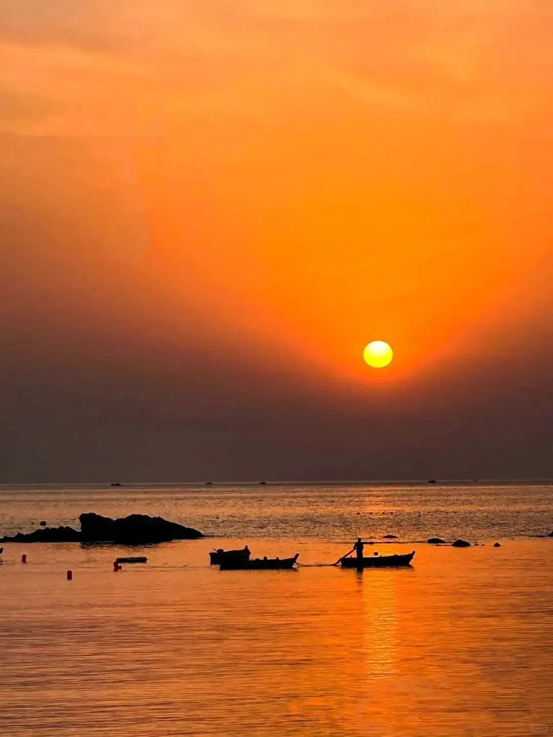 步雷得灵(上海)贸易有限公司_步雷是小馨吗_步雷