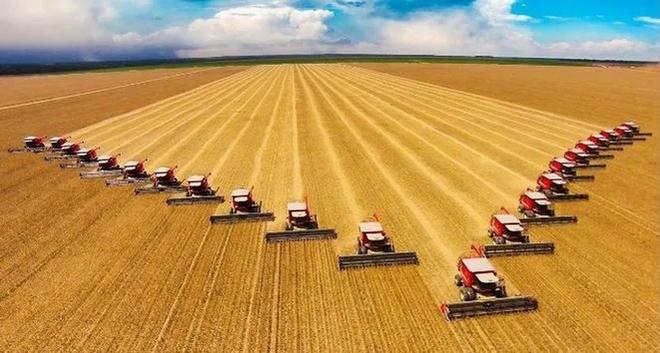 痴汉电车下载-痴汉电车:城市拥挤背后的恐惧与无奈,法律与社会保护的双重呼唤(图3) 痴汉电车下载_痴汉电车下载_痴汉电车下载