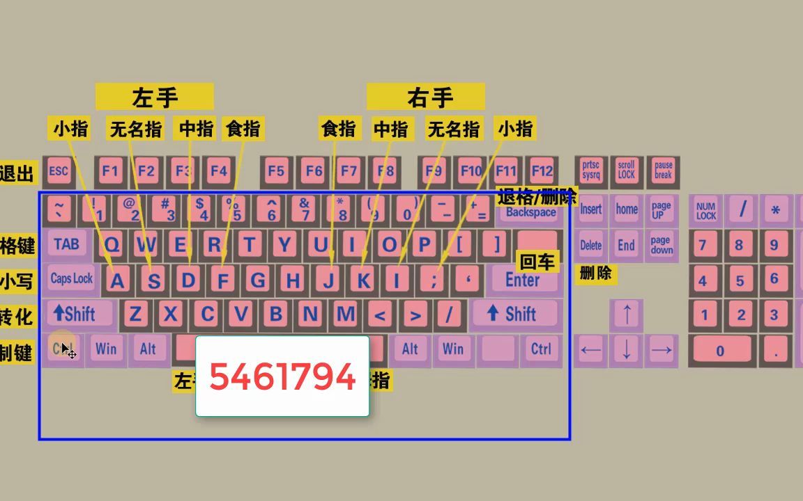 打字操作键盘的正确姿势_键盘打字的正确手法_键盘打字的正确手