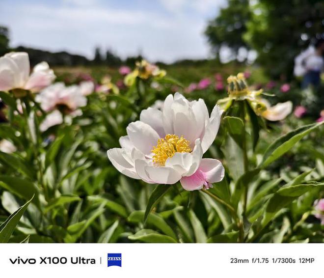 游戏手机新世代-游戏手机:超越想象的性能,炫酷外观与独特体验的完美结合(图3) 世代手机新游戏排行榜_游戏手机新世代_世代手机新游戏有哪些