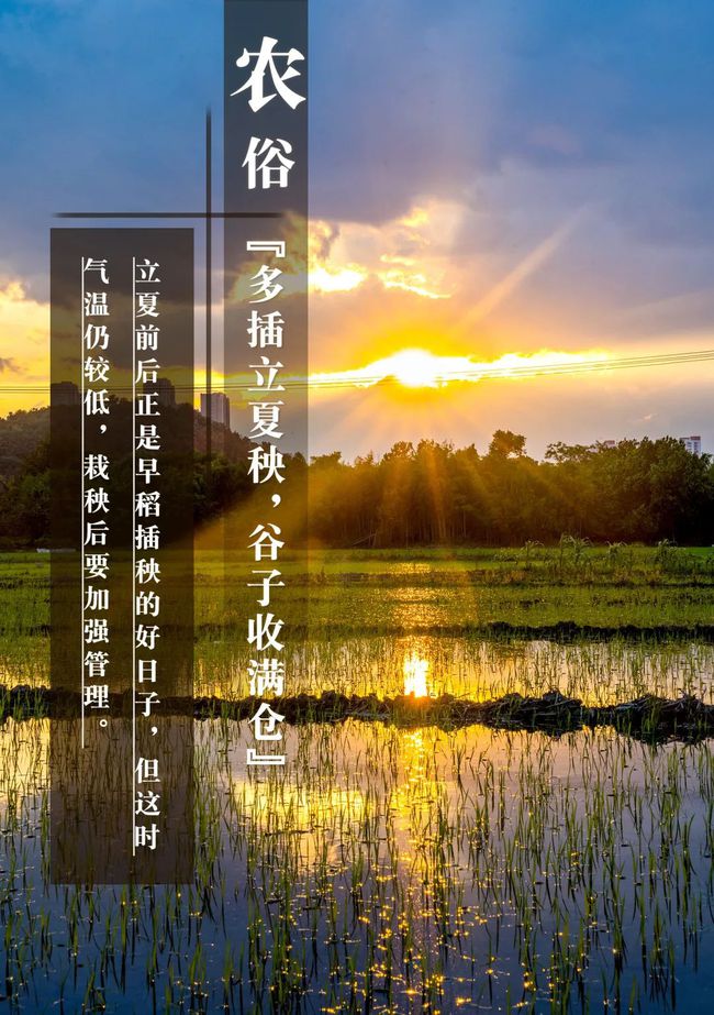 立夏故事_立夏故事_立夏故事