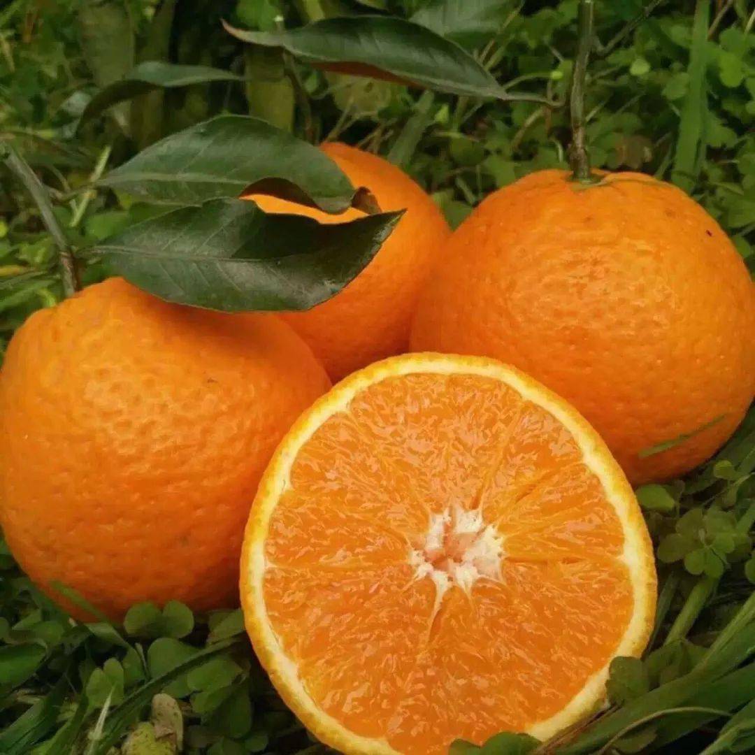 2019什么年-2019 年:大事小事不断,科技发展迅速,心情如过山车般起伏(图4) 年2019年属_2019什么年_你我当年2019