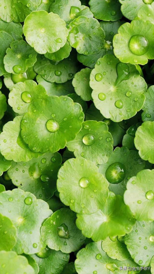 头条小游戏手机版有吗-头条小游戏手机版:随时随地的小确幸,各种类型应有尽有(图3) 头条小游戏在哪里玩_头条小游戏怎么赚钱_头条小游戏手机版有吗