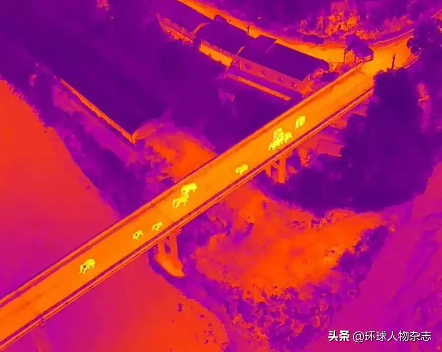 到家的中文_一点就到家在线完整观看国语_爵迹在线完整免费观看