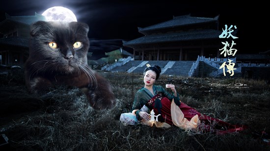樱之猫姬_樱之猫姬_樱之猫姬