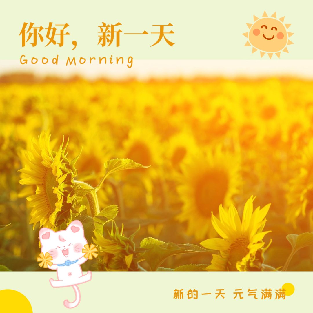 易网玩游戏_易网手机游戏_易网游戏有哪些