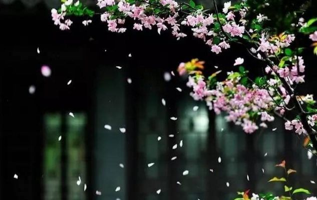 谷雨:春末夏初的诗意过渡,承载着希望与期待(图3) 谷雨房车480拖挂价格_谷雨护肤品怎么样效果好吗_谷雨