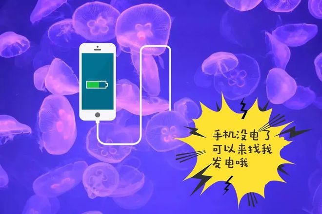 手机游戏推荐_游戏手机nfc_手机游戏手游
