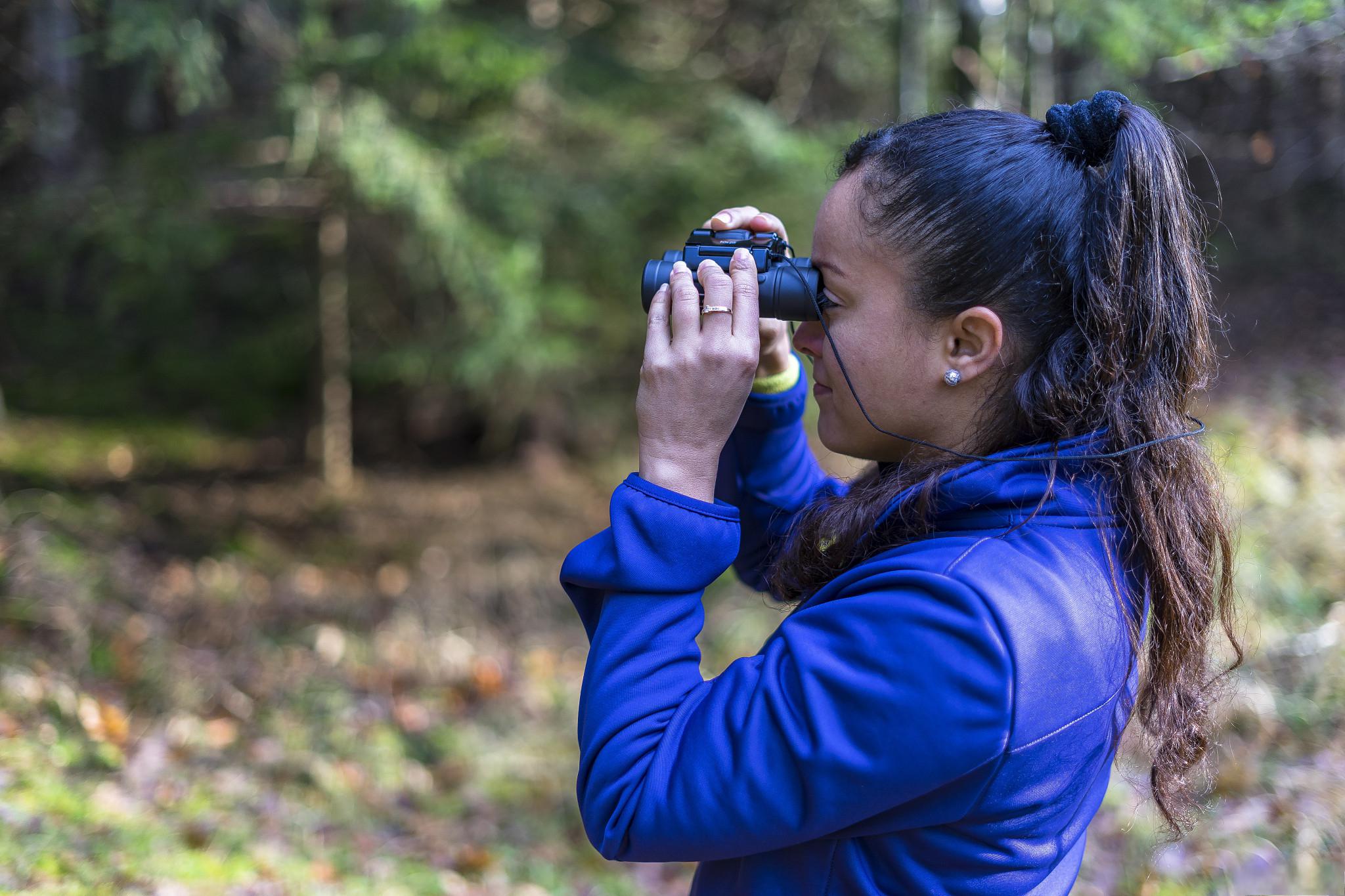 明日菜:不仅仅是食材,更是生活中的小确幸与勇气象征(图1) 明日菜_明日菜_明日菜