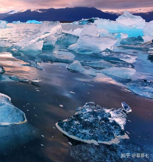 明日菜:不仅仅是食材,更是生活中的小确幸与勇气象征(图2) 明日菜_明日菜_明日菜