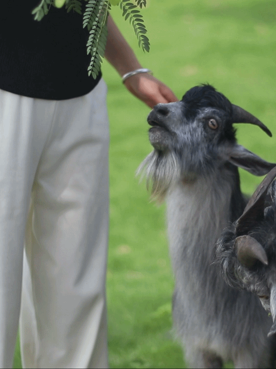 推荐一个手机游戏开发者-游戏魔法师小李:创造梦境的代码编织者,带给玩家全新世界体验(图4) 者开发推荐手机游戏怎么做_推荐一个手机游戏开发者_游戏开发类手游