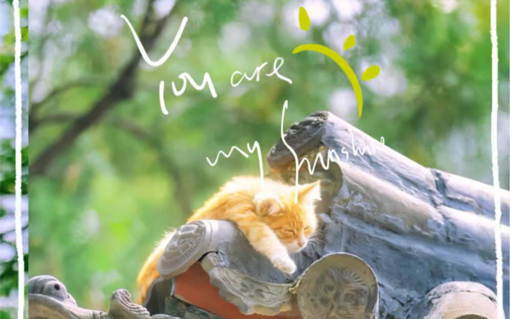 魔法少女猫悠悠:用魔法帮助他人,也有普通猫咪的烦恼(图1) 魔法猫咪少女_魔法少女喵_魔法少女猫