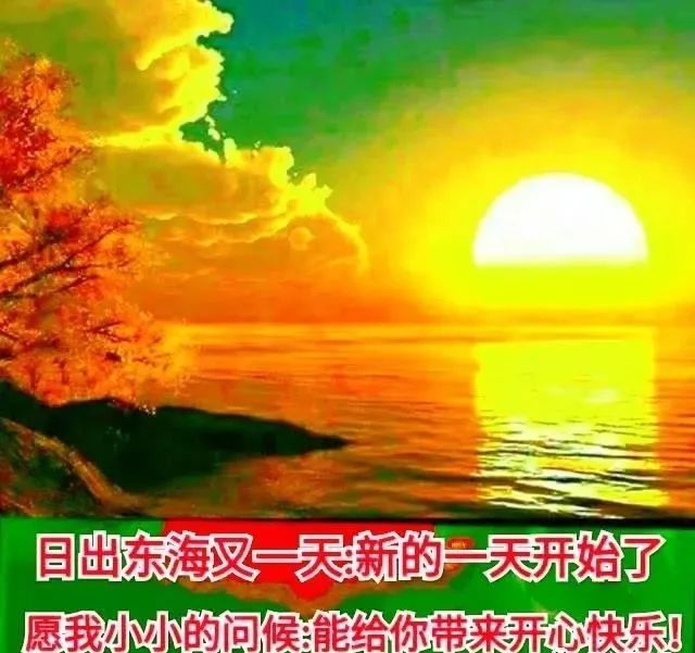 桃井_桃井_桃井