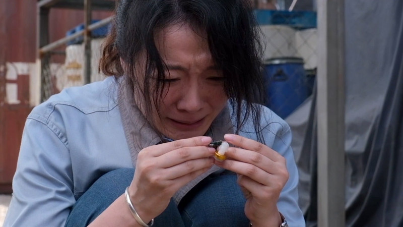 加菲猫2电影全集在线免费观看_老天会爱笨小孩免费阅_奇迹笨小孩在线电影免费观看