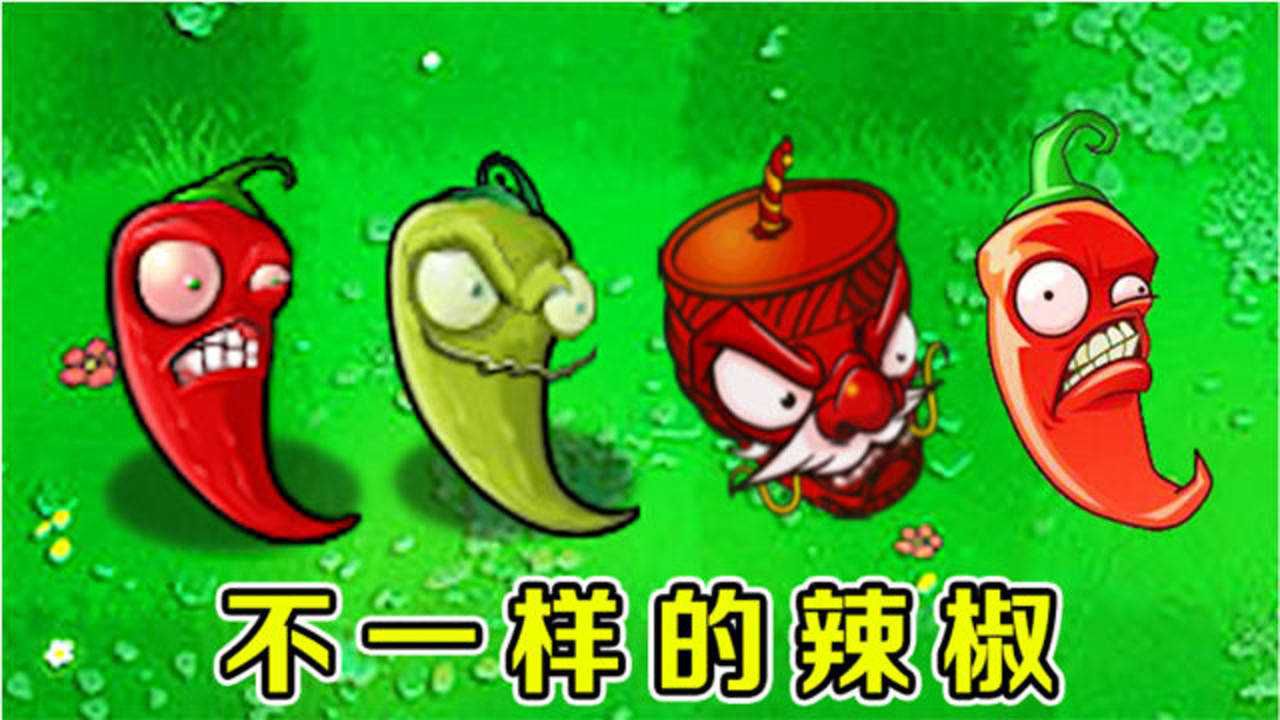辣椒僵尸火爆辣椒会怎么样_火爆辣椒僵尸_pvz火爆辣椒僵尸