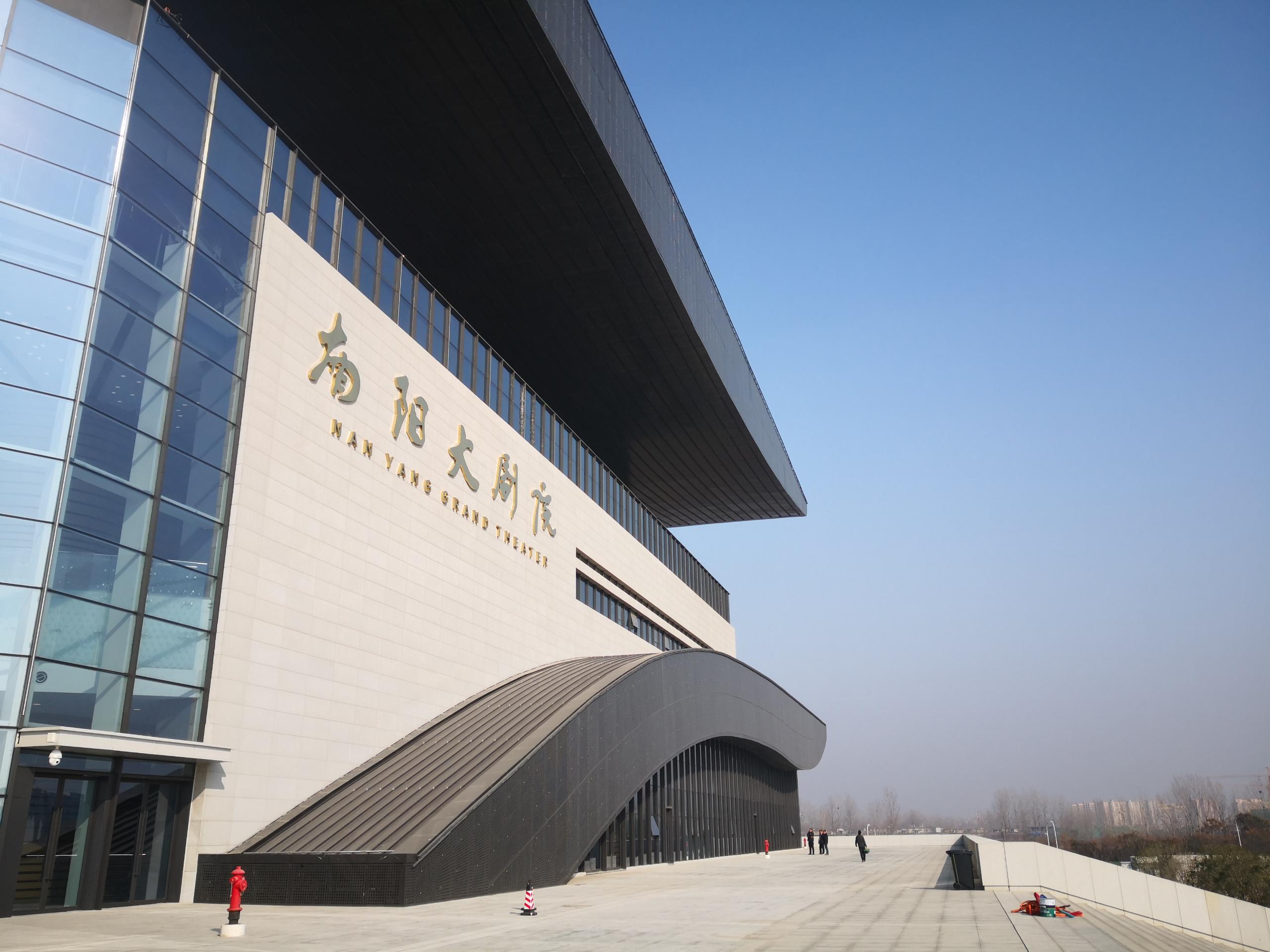 三色堇_三色堇花语_三色堇图片