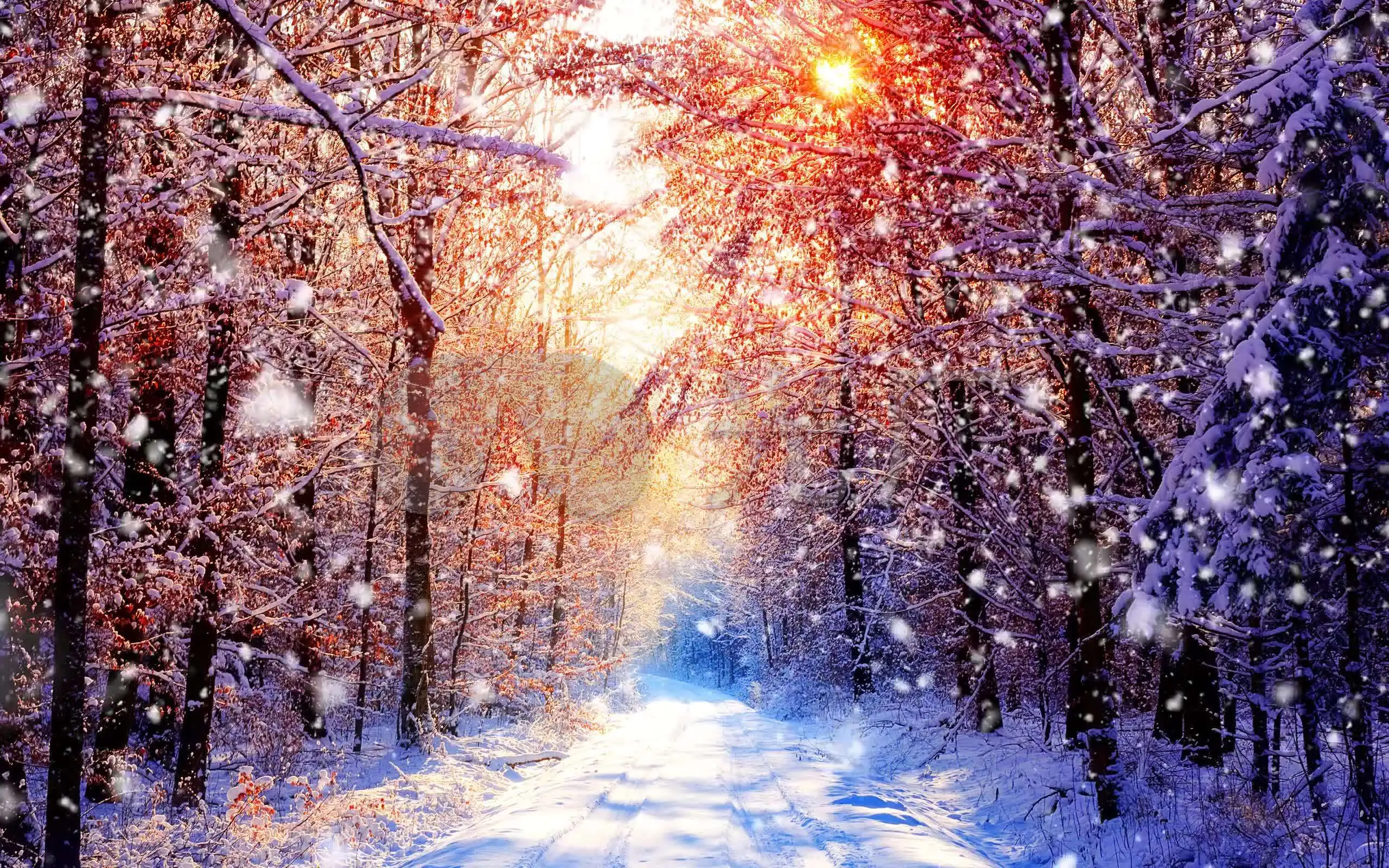 桑山千雪:冬日里的温暖情怀,让你在寒冷中寻找温暖(图1) 桑山千雪_桑山千雪哪部动漫_桑山千雪萌娘百科