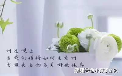 自黯淡之刻的尽头-从黑暗到光明:在绝望中寻找希望的力量(图5) 尽头是沉默_自黯淡之刻的尽头_暗淡时刻的尽头