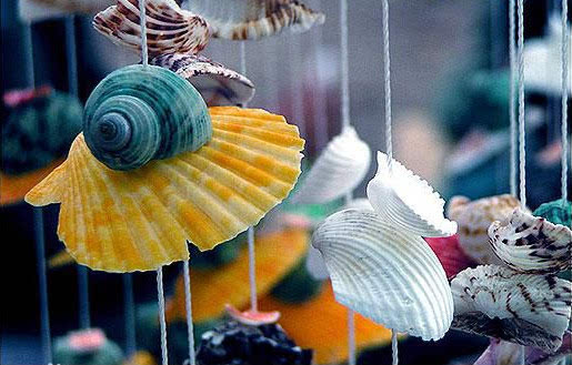 贝壳ip-贝壳 IP:安放心灵的港湾,承载梦想与记忆的设计(图1) 贝壳ip官网下载_贝壳ip官网_贝壳ip