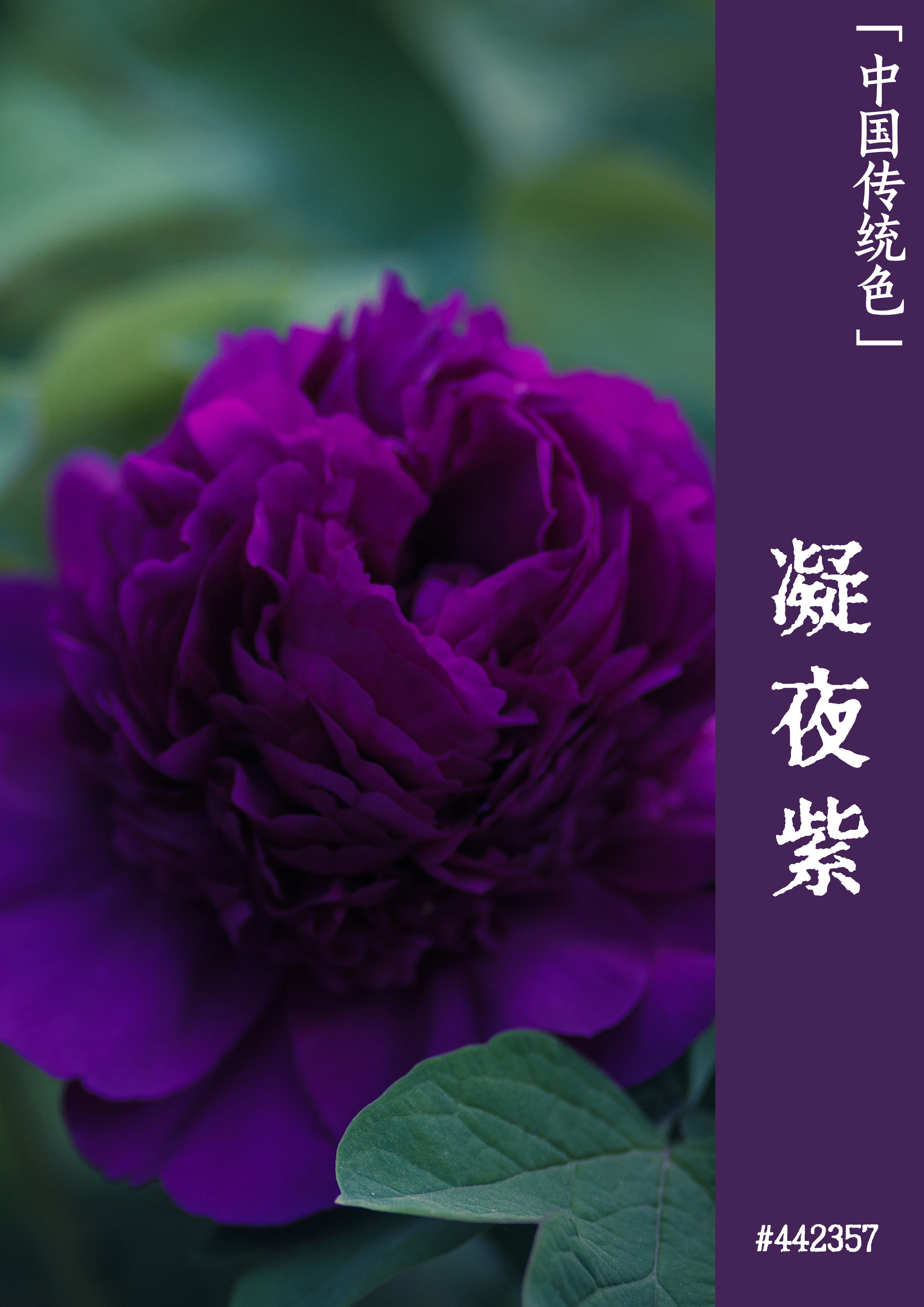 双awm手机游戏_手机游戏捕鱼_手机游戏平台